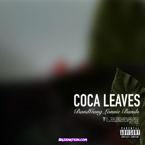 BandGang Lonnie Bands - Coca Leaves Mp3 Download