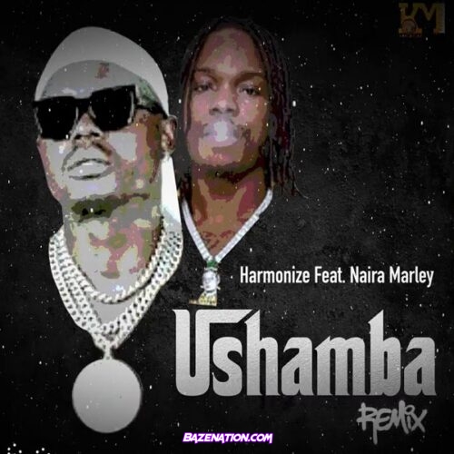 Harmonize - Ushamba (Remix) ft. Naira Marley Mp3 Download