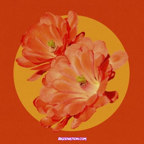 Fana Hues – Desert Flower Remix (feat. Mereba) Mp3 Download