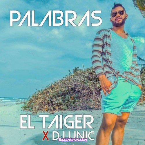 El Taiger & DJ Unic – Palabras Mp3 Download