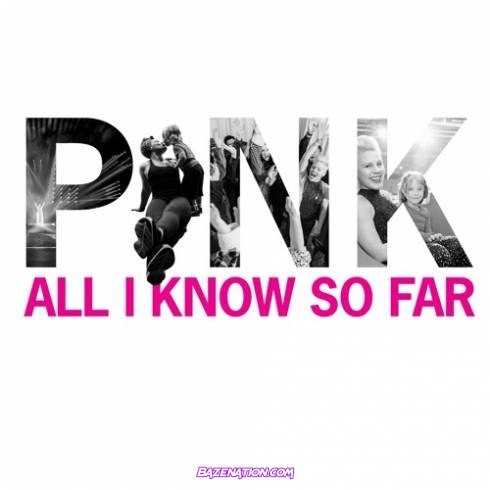 P!NK – All I Know So Far (Dubdogz & Selva Remix) Mp3 Download
