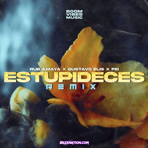 Rub Amaya, Gustavo Elis, FEI – Estupideces (Remix) Mp3 Download