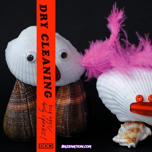 Dry Cleaning – Bug Eggs Mp3 Download