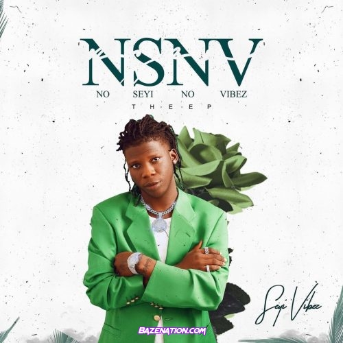 Seyi Vibez – NSNV Mp3 Download