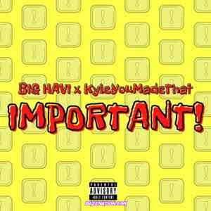 Big Havi & KyleYouMadeThat - Important! Mp3 Download