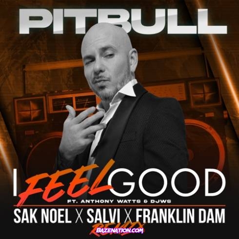 Pitbull – I Feel Good (Sak Noel & Salvi & Franklin Dam Remix) feat. Anthony Watts & DJWS Mp3 Download