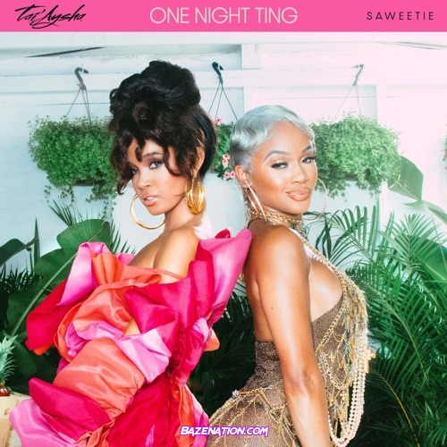 Tai’Aysha – One Night Ting (feat. Saweetie) Mp3 Download