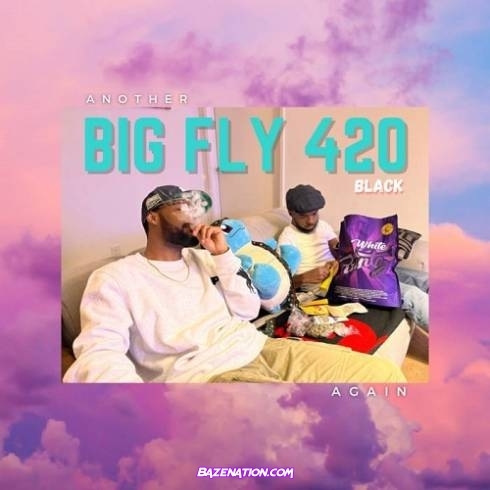 Big Kahuna OG & Fly Anakin - Another Big Fly 420, Again Download EP Zip