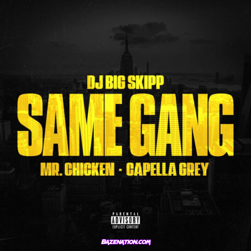 DJ BIG SKIPP – SAME GANG (feat. Mr Chicken, Capella Gray) Mp3 Download