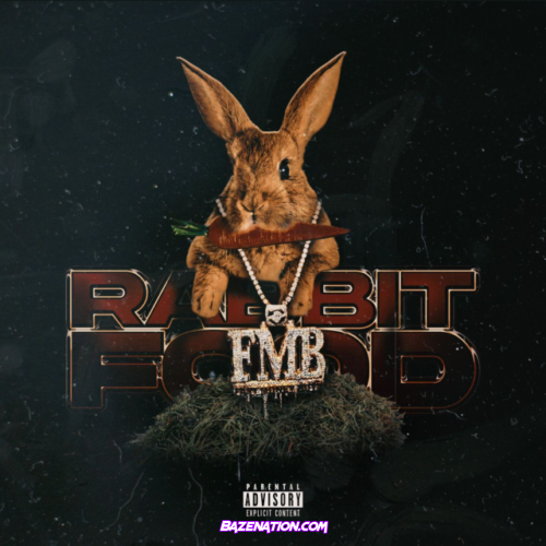 Fmb Dz – Rabbit Food Mp3 Download