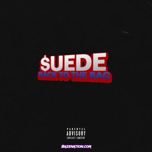 MoneySign Suede – Back To The Bag Mp3 Download