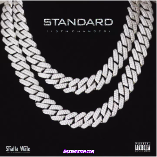 Shatta wale – Standard Mp3 Download