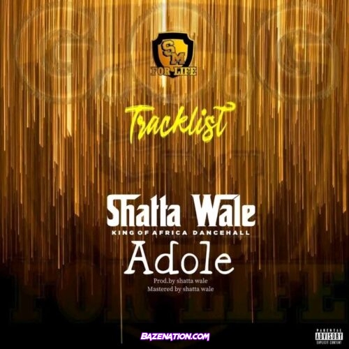 Shatta Wale – Adole Mp3 Download