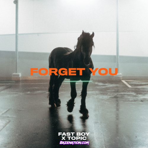 FAST BOY & Topic – Forget You Mp3 Download