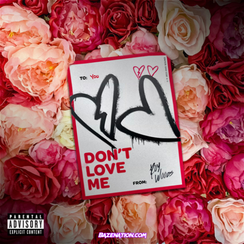 Roy Woods – Don't Love Me Mp3 Download
