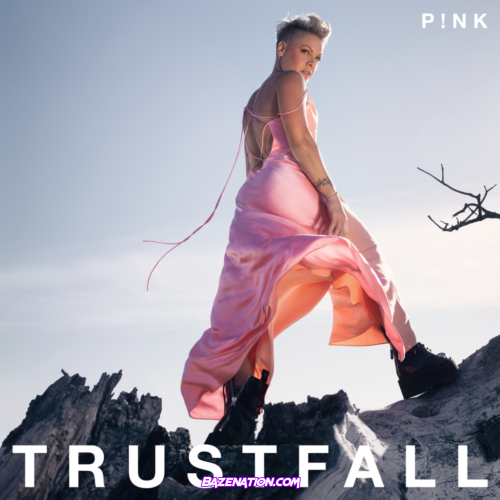 P!NK – Hate Me Mp3 Download