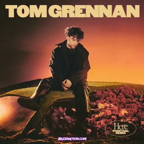 Tom Grennan – Here (Punctual Remix) Mp3 Download