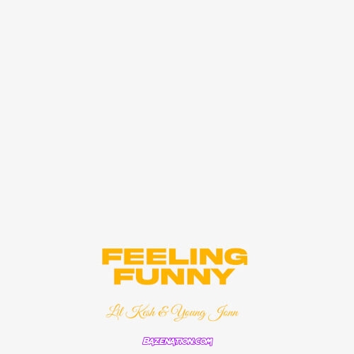 Lil Kesh X Young Jonn - Feeling Funny