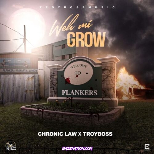 Chronic Law - Weh Mi Grow (feat. Troyboss)