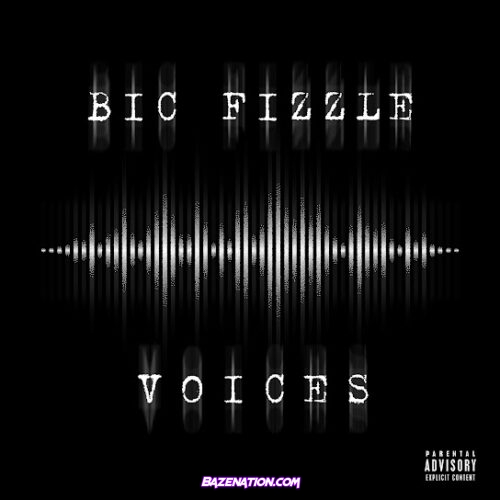 BiC Fizzle - Voices