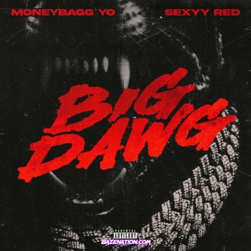 Moneybagg Yo - Big Dawg Ft. Sexyy Red & CMG The Label