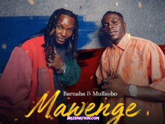 Barnaba - Mawenge (feat. Mullaobo)