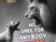 Spyro - No Gree For Anybody (NGFA)
