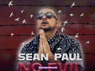 Sean Paul - No Evil