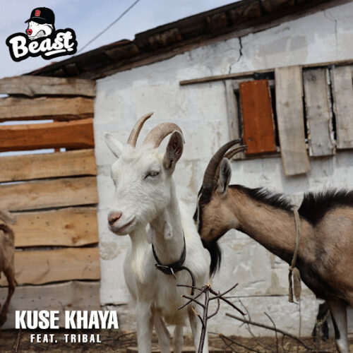 Beast Rsa - Kuse Khaya (feat. Tribal)