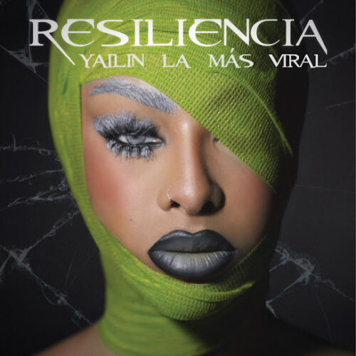 Yailin La Mas Viral Como Te Sintiera MP3 Download