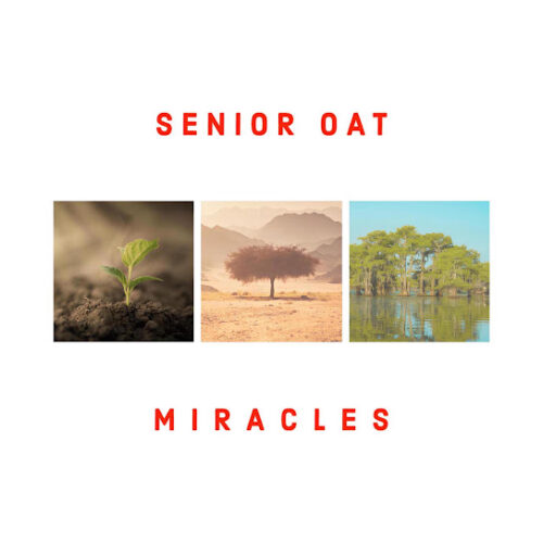 Senior Oat - The Only One Ft. Saltie