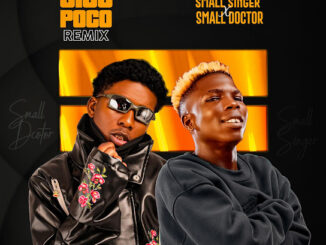 Small Singer - Jijo Poco (Remix) (feat. Small Doctor)